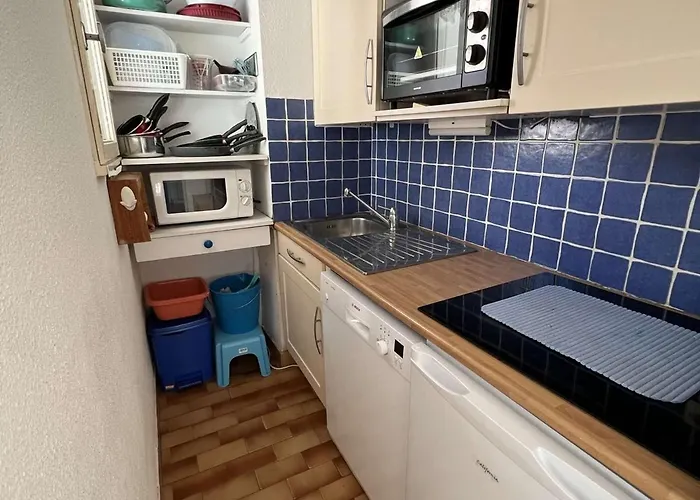 T2 Avec Parking Et Ascenseur à 100m De La - Animaux Acceptés, 34300 Cap D'agde - Fr-1-702-40 Appartement *