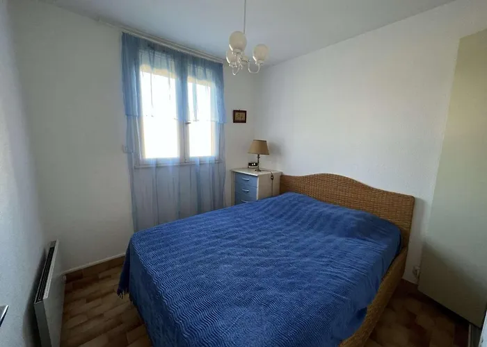 T2 Avec Parking Et Ascenseur à 100m De La - Animaux Acceptés, 34300 Cap D'agde - Fr-1-702-40 * Agde